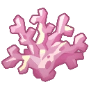 Coral Stone