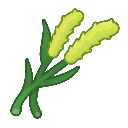 Foxtail