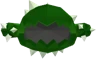 Cacti